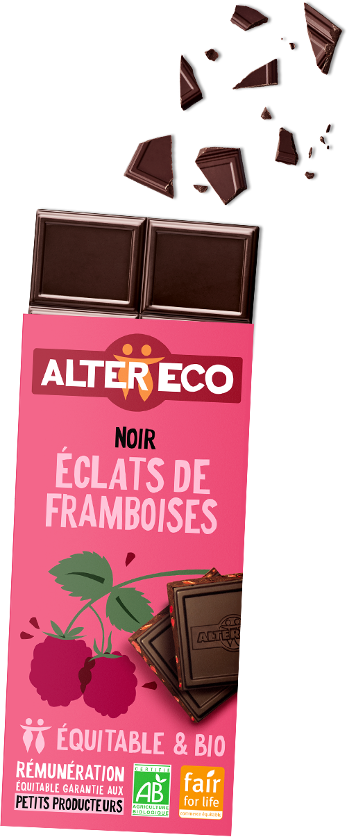 chocolat-noir-eclat-de-framboises-1