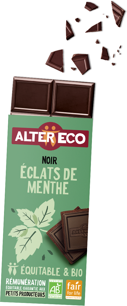 chocolat-noir-eclats-de-menthe-1