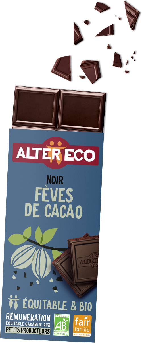 chocolat-noir-feves-de-cacao-1